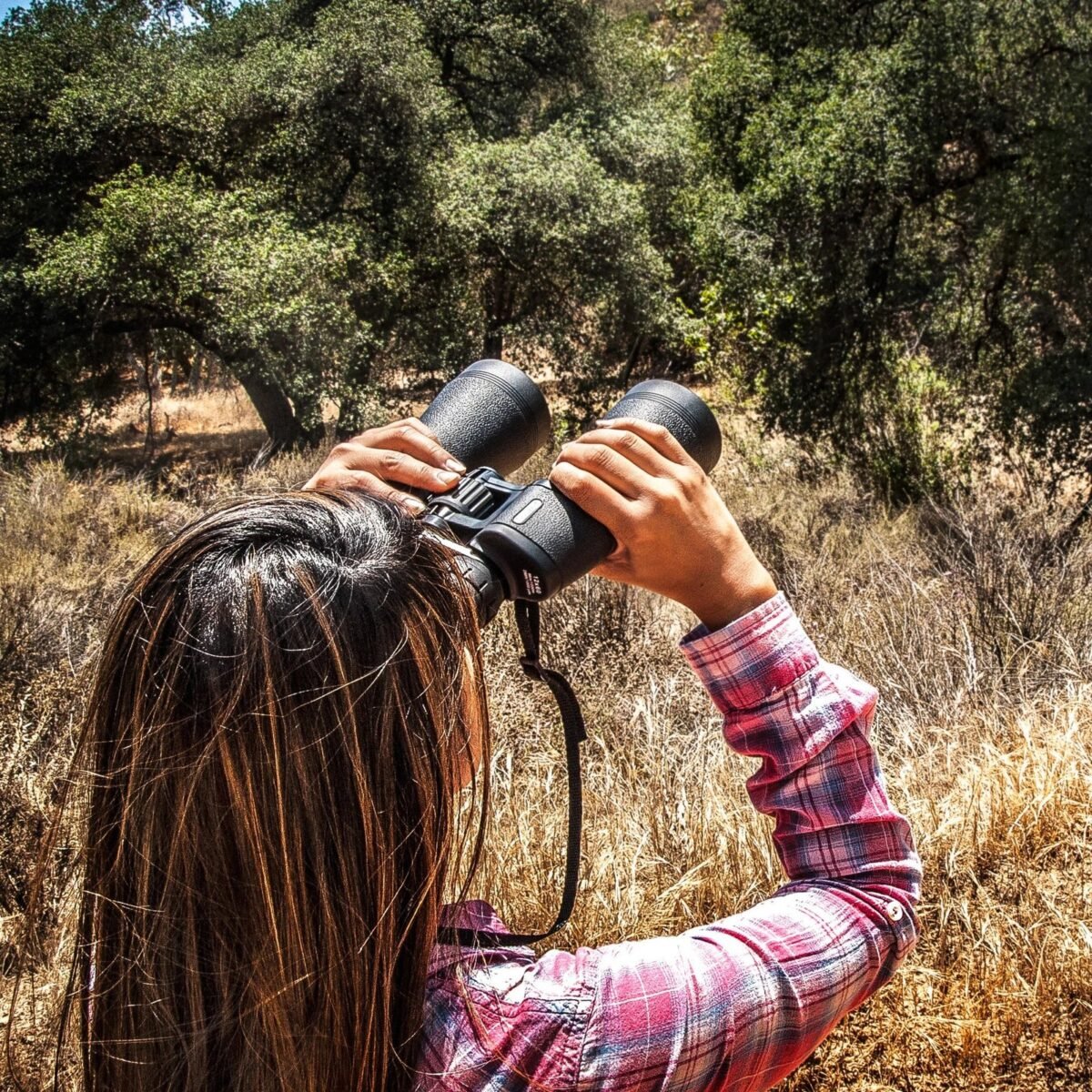 BARSKA (AB12236) 16x50mm Level Binoculars - Image 4