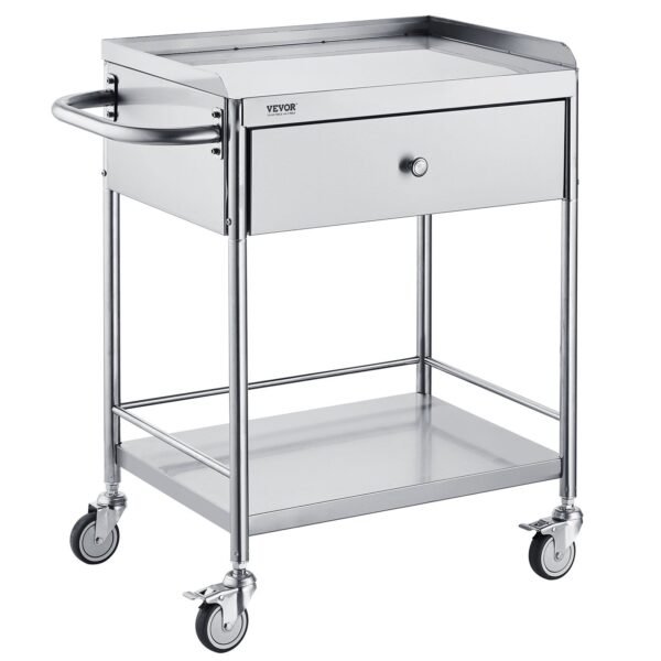 VEVOR 141002 Medical Cart, 2-Layer Stainless Steel Cart 220 lbs Weight Capacity, Lab Utility Cart with 360° Silent Wheels and a Drawer for Lab, Clinic, Kitchen, Salon